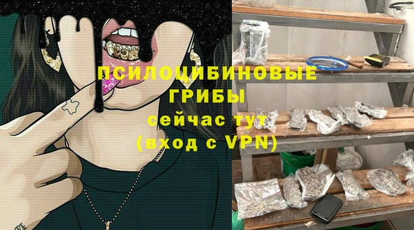 spice Алзамай
