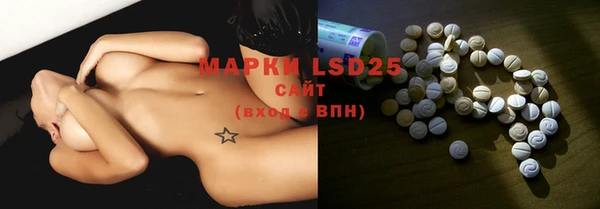 spice Алзамай